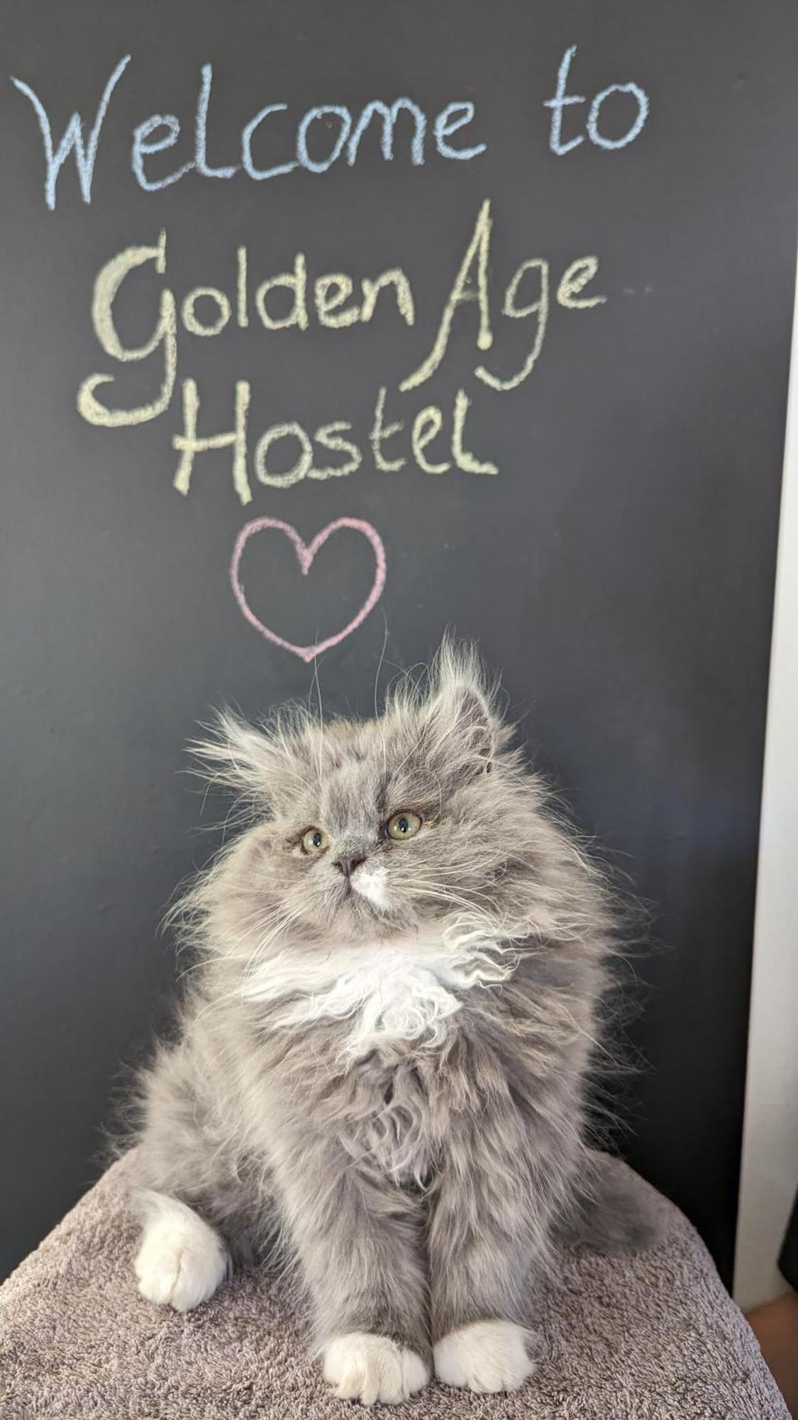 Golden Age Hostel Ohrid Luaran gambar